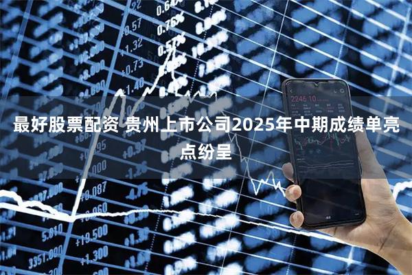 最好股票配资 贵州上市公司2025年中期成绩单亮点纷呈