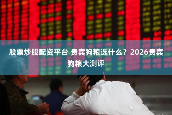 股票炒股配资平台 贵宾狗粮选什么？2026贵宾狗粮大测评