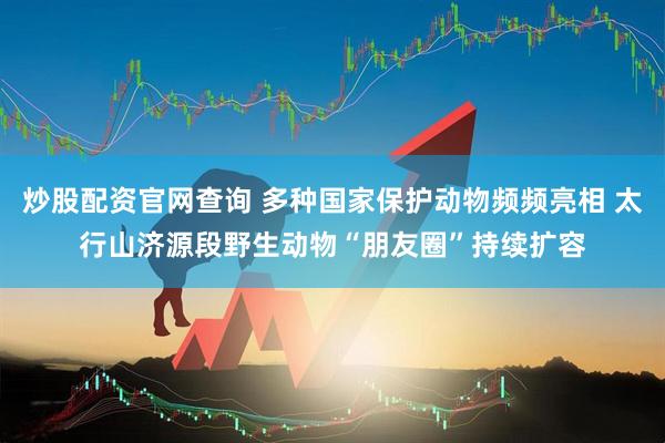 炒股配资官网查询 多种国家保护动物频频亮相 太行山济源段野生动物“朋友圈”持续扩容
