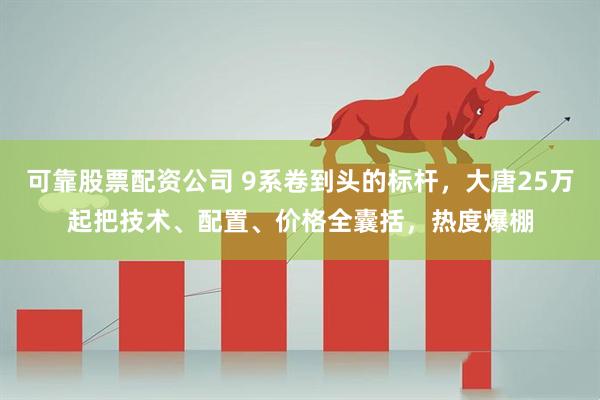 可靠股票配资公司 9系卷到头的标杆，大唐25万起把技术、配置、价格全囊括，热度爆棚
