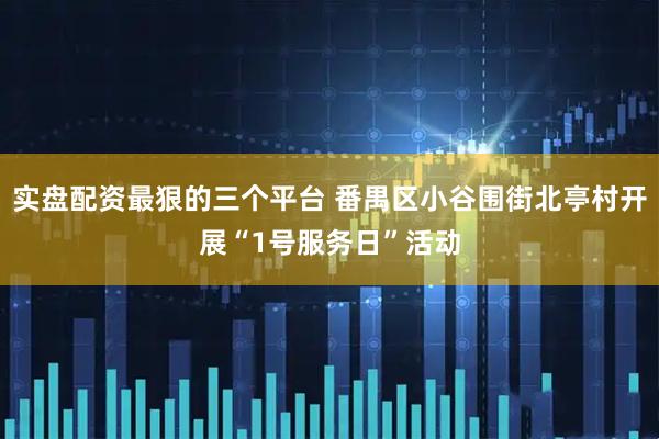 实盘配资最狠的三个平台 番禺区小谷围街北亭村开展“1号服务日”活动